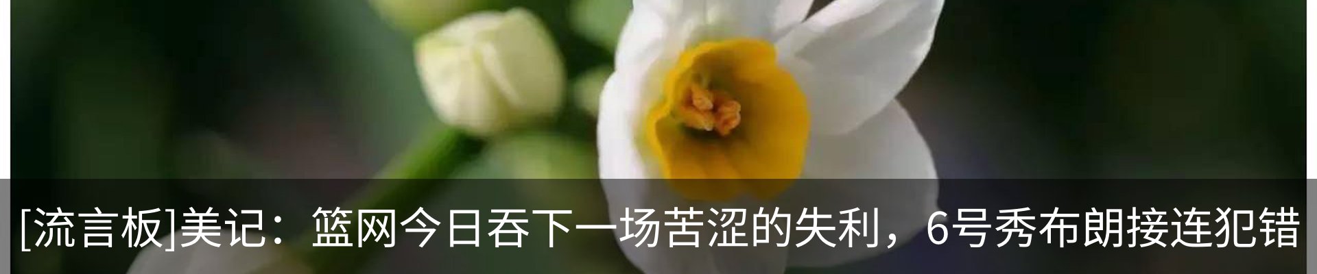 新闻中心